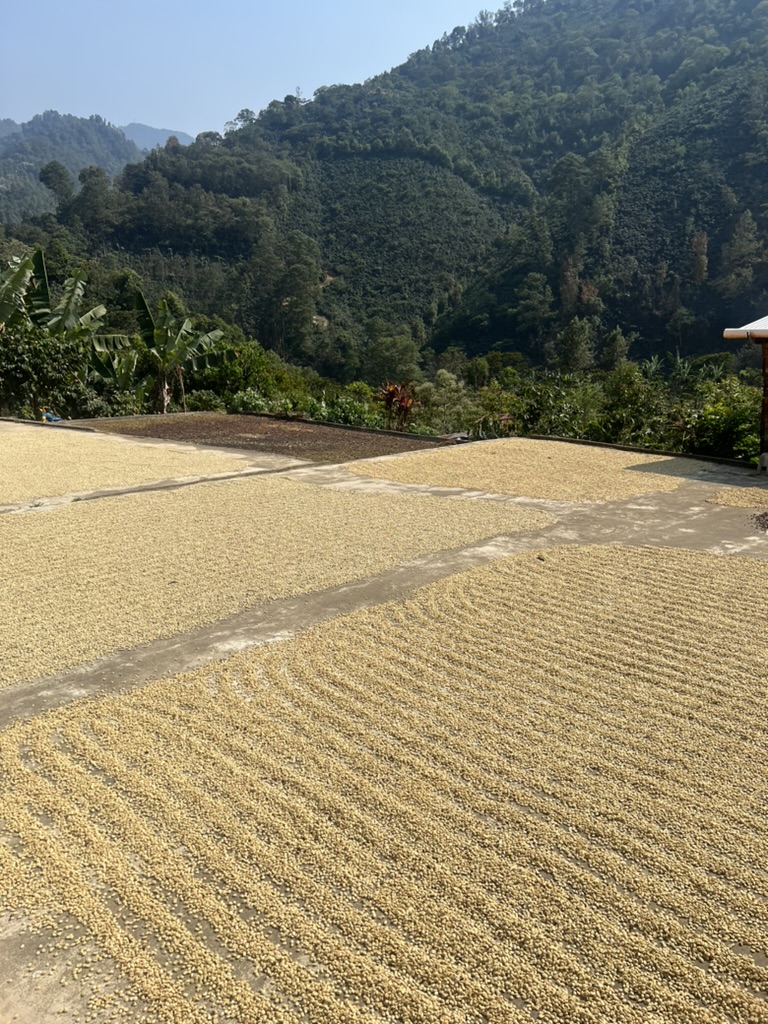 Colombia & Coffee - Image 1
