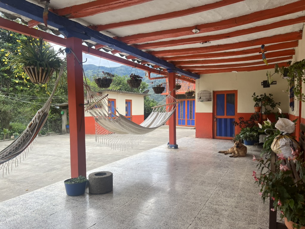 Colombia & Coffee - Image 2
