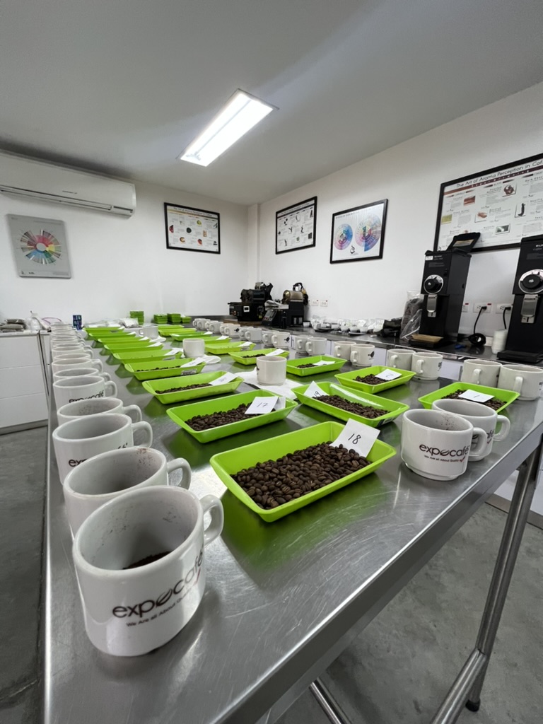 Colombia & Coffee - Image 3