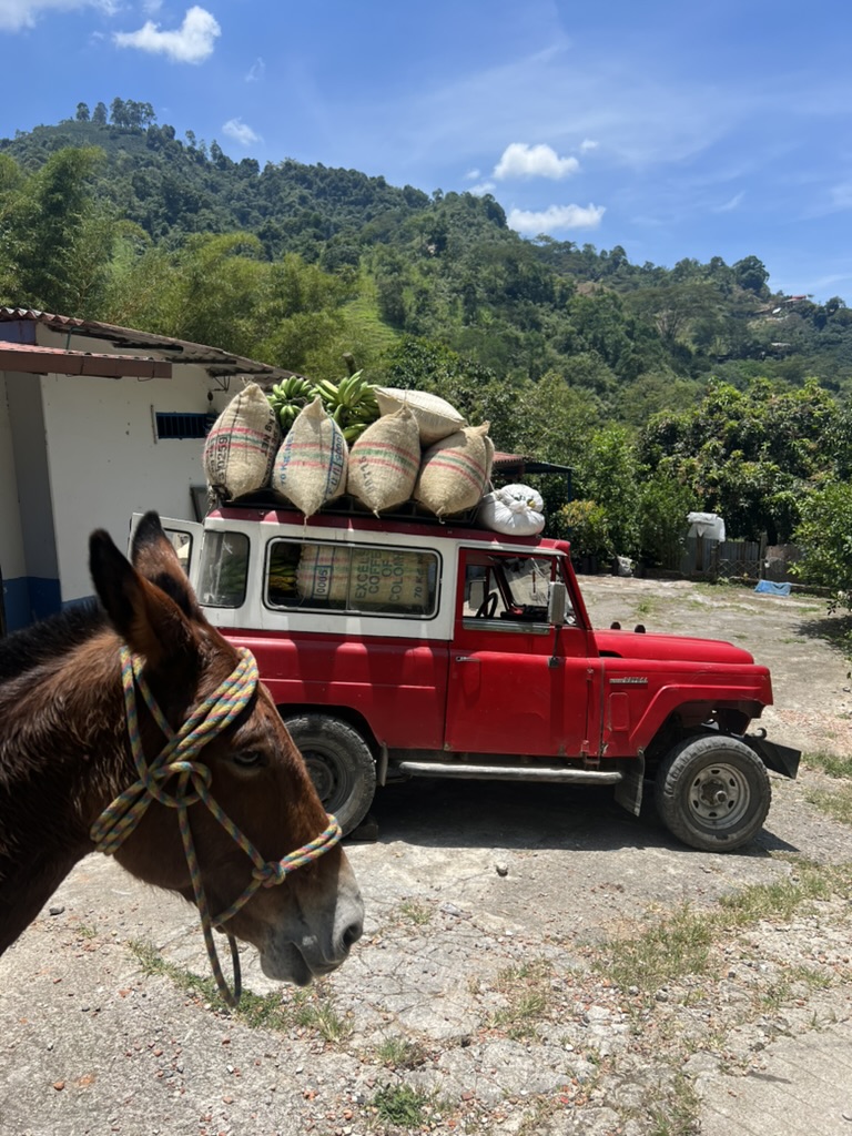 Coffee farmer at work